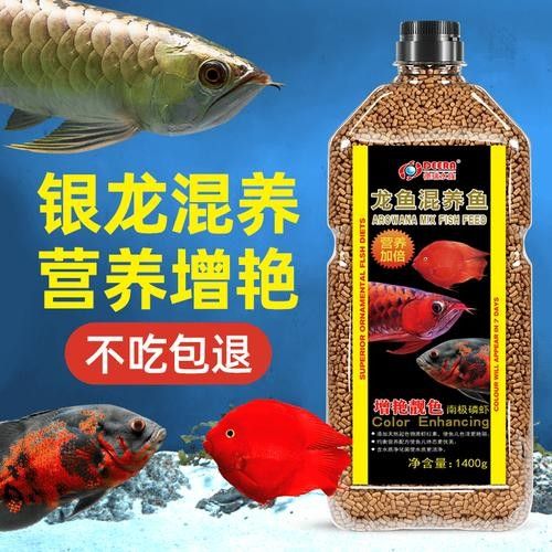 銀龍魚趴缸底不吃食 銀龍魚趴缸底不吃食 龍魚百科 第9張