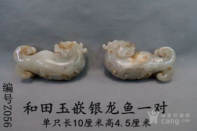龍魚游動時突然一抖為什么（龍魚游動時突然一抖） 龍魚游動時突然一抖為什么（龍魚游動時突然一抖） 龍魚百科