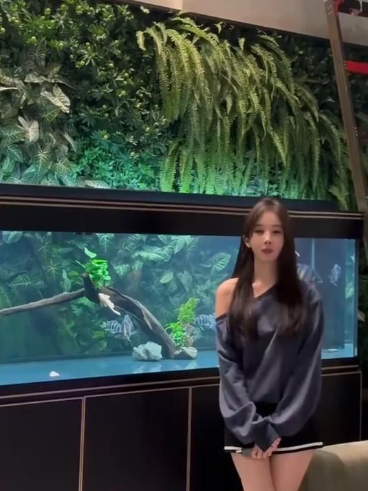 龍魚配什么魚最好