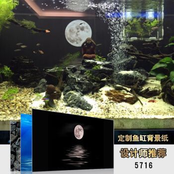 龍魚缸背景紙圖片大全大圖高清（高清龍魚缸背景圖片大全）