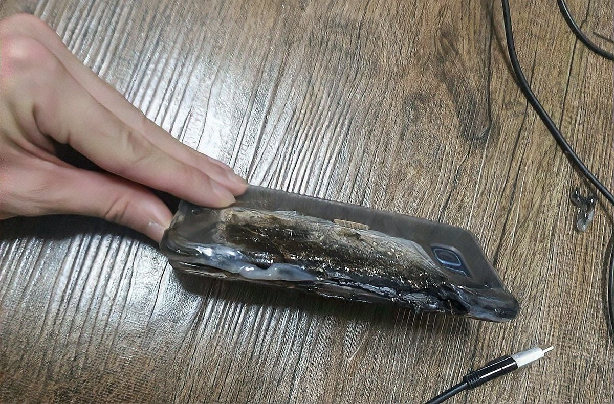 銀龍魚觀賞魚圖片大全大圖