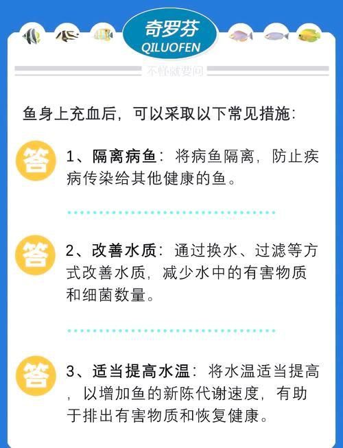 魚鰭充血圖片