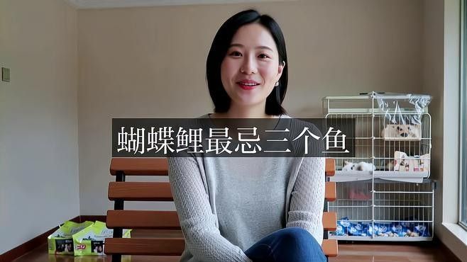 龍魚蝴蝶鯉混養視頻教程全集