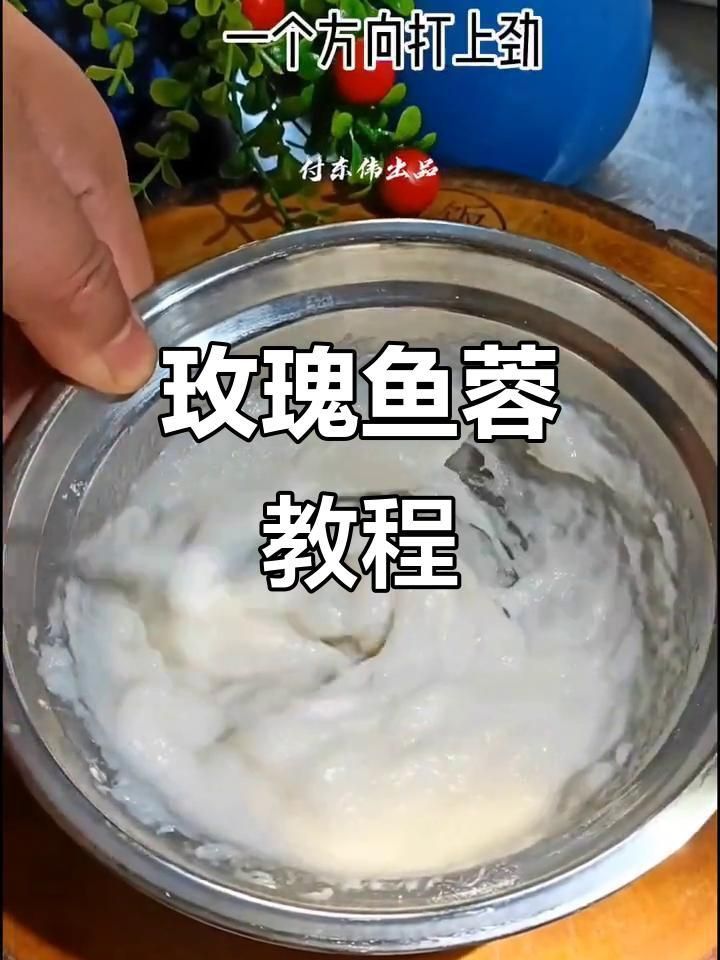 玫瑰魚怎么做好吃 龍魚百科 第3張 玫瑰魚怎么做好吃 玫瑰魚怎么做好吃 龍魚百科 第3張