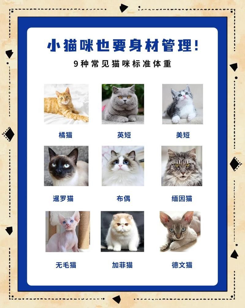 龍須貓的正常體重是多少？