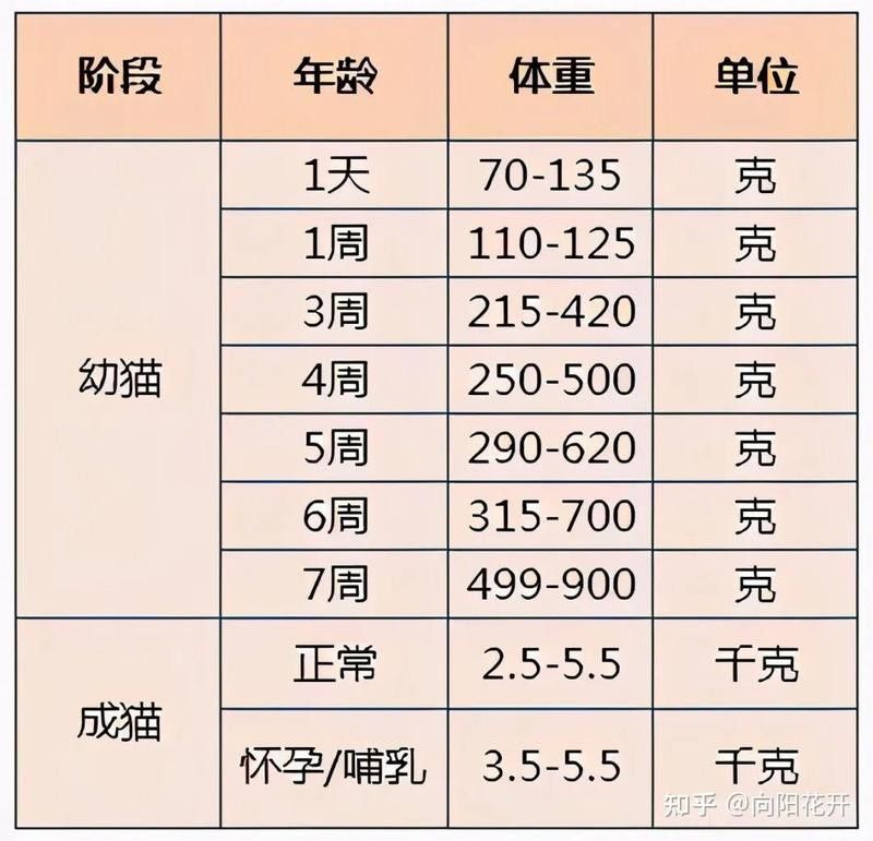 龍須貓的正常體重是多少？