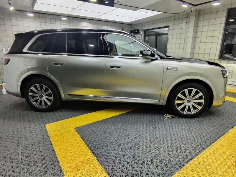 香檳金配色有哪些車型可選？ 香檳金配色有哪些車型可選？ 龍魚百科 第3張