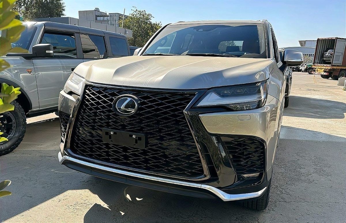 香檳金配色有哪些車型可選？ 香檳金配色有哪些車型可選？ 龍魚百科 第1張