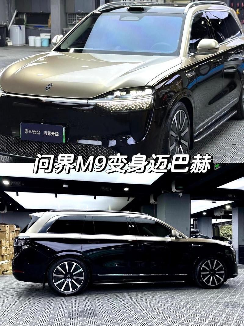 香檳金配色有哪些車型可選？ 香檳金配色有哪些車型可選？ 龍魚百科 第2張