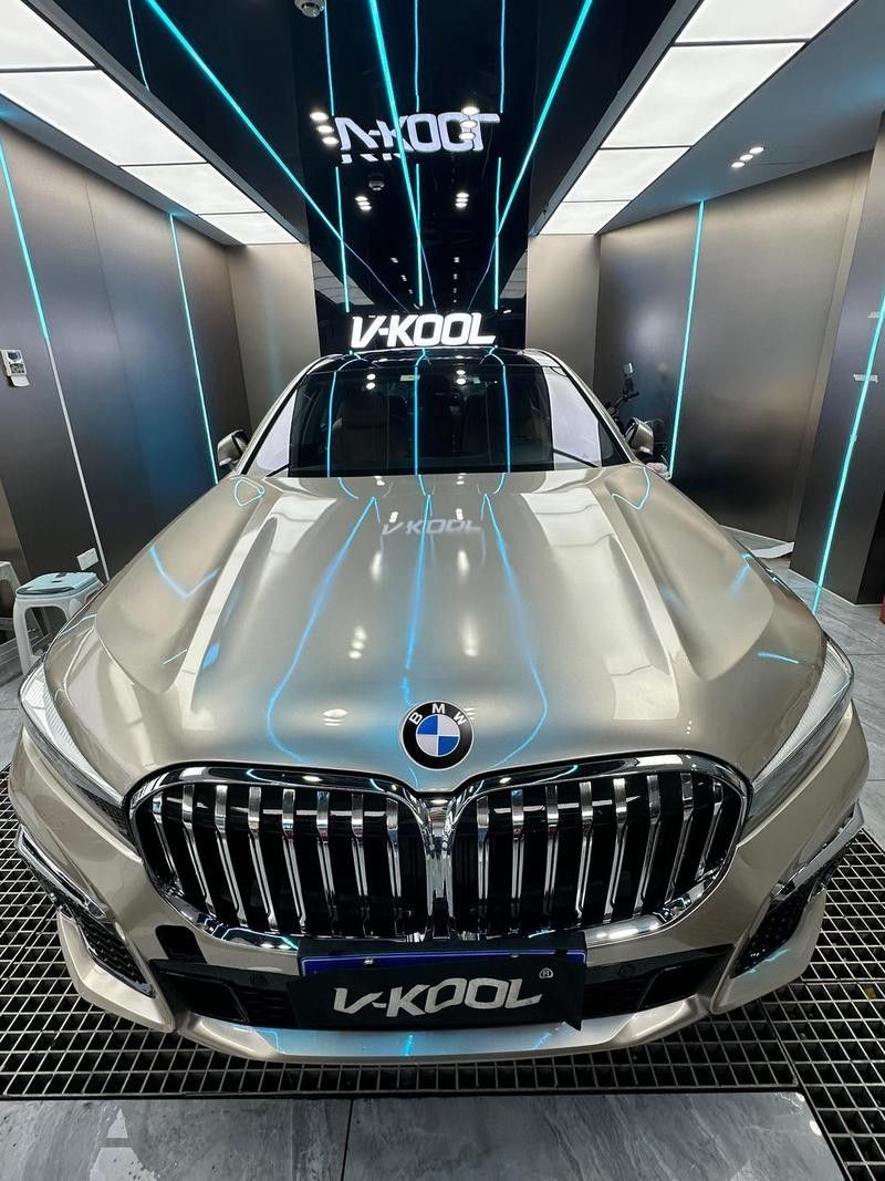 香檳金配色有哪些車型可選？ 香檳金配色有哪些車型可選？ 龍魚百科 第4張