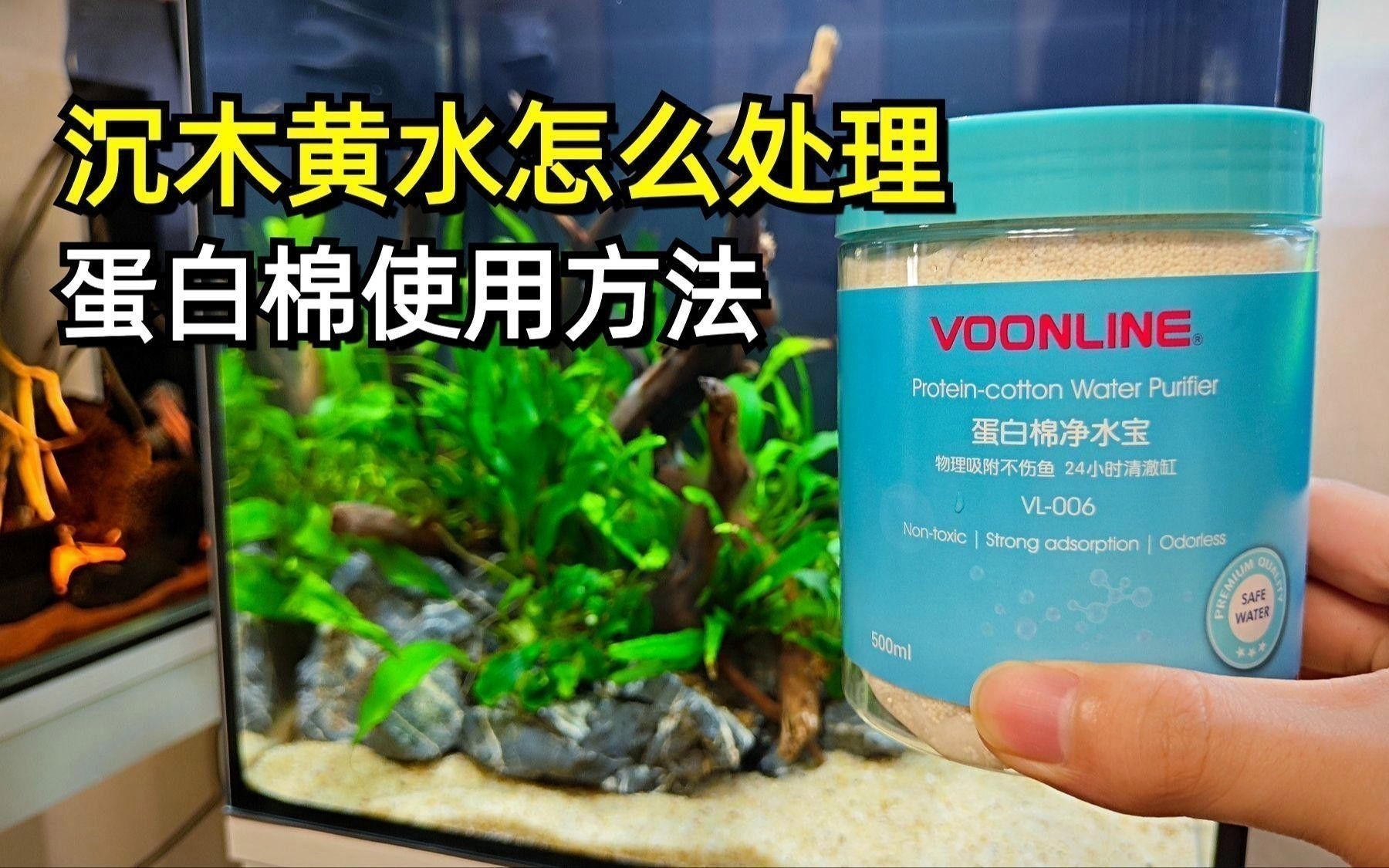 沉木放多久才不會黃水？