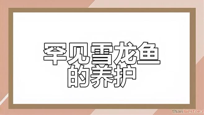 雪龍魚的特點是什么？