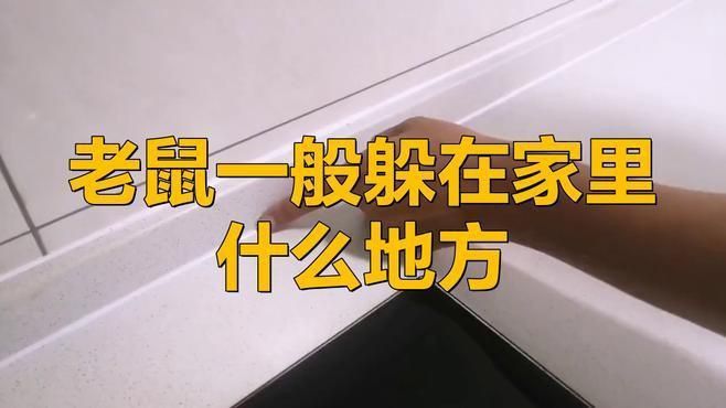 赤瞳龍魚：赤瞳龍魚是一種熱帶觀賞魚，具有獨特的外觀和特定的飼養需求