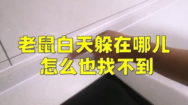 赤瞳龍魚：赤瞳龍魚是一種熱帶觀賞魚，具有獨特的外觀和特定的飼養需求