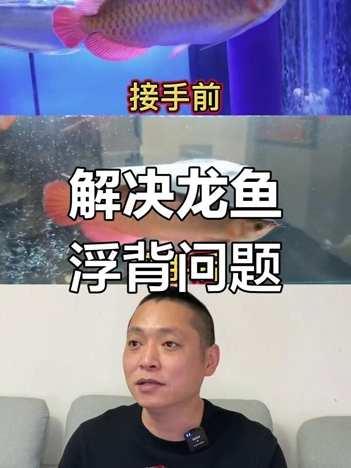 龍魚浮頭時(shí)如何緊急處理？