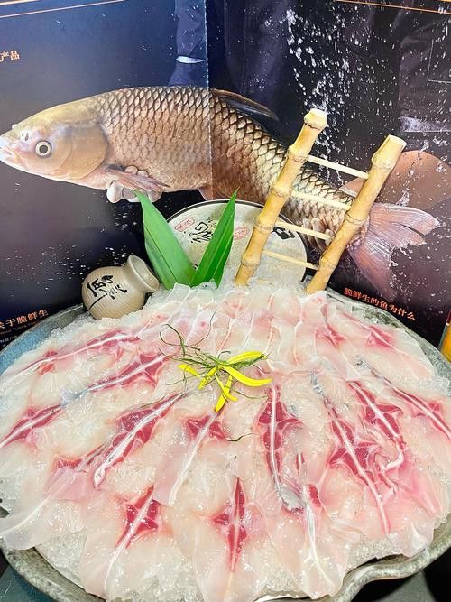 烏龍魚是什么魚圖片欣賞