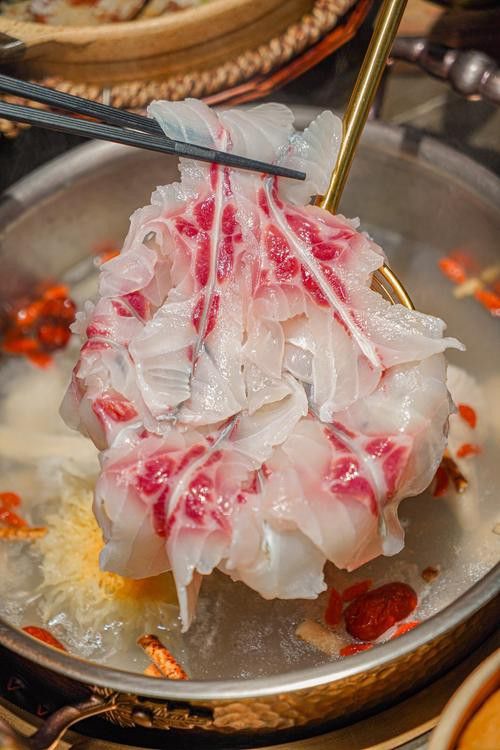 烏龍魚是什么魚圖片欣賞