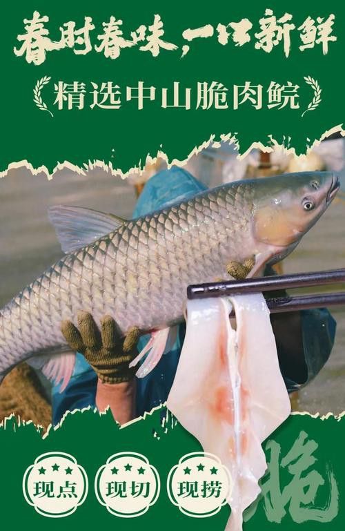 烏龍魚是什么魚圖片欣賞