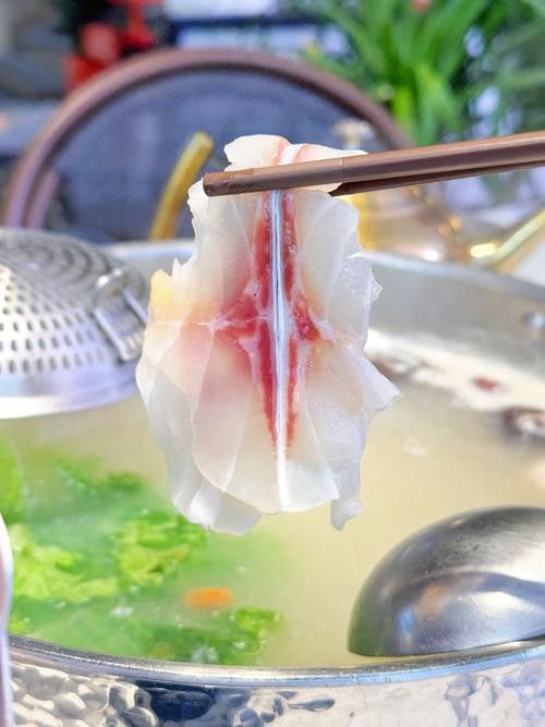烏龍魚是什么魚圖片欣賞