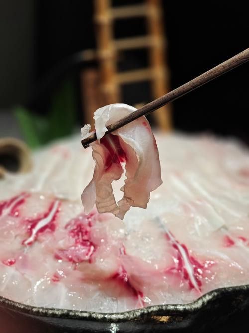 烏龍魚是什么魚圖片欣賞