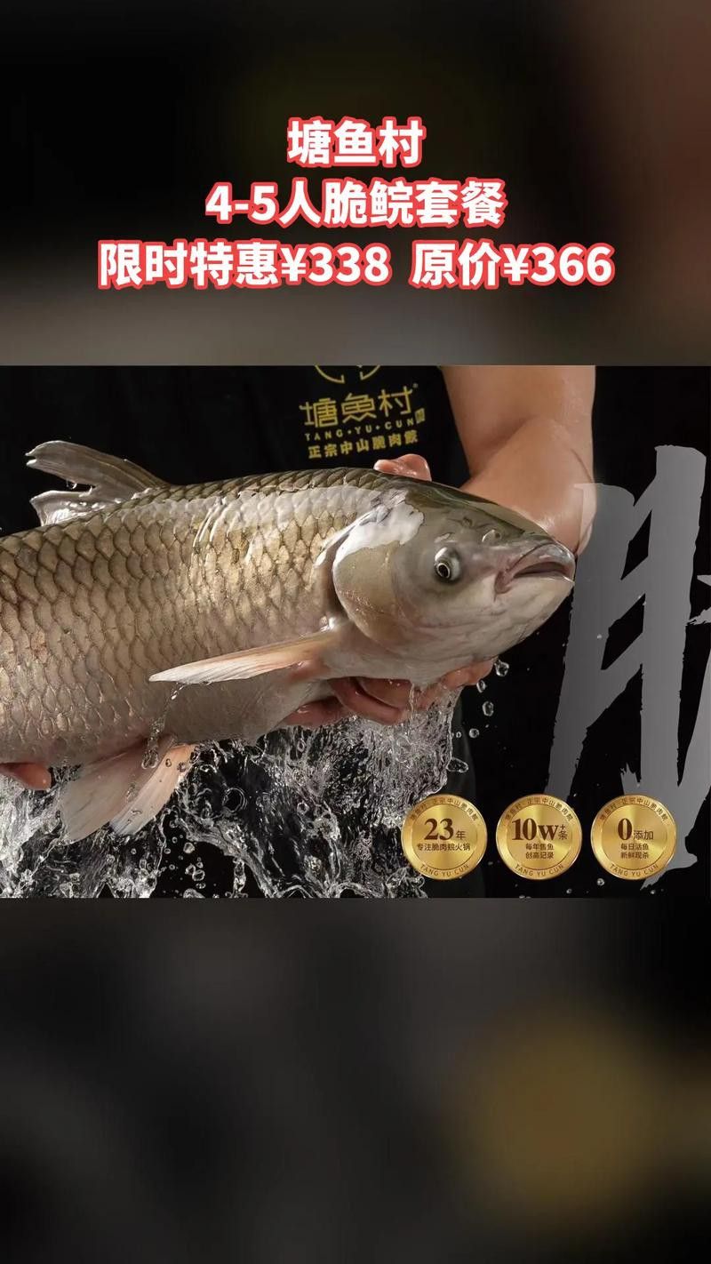 烏龍魚是什么魚圖片欣賞