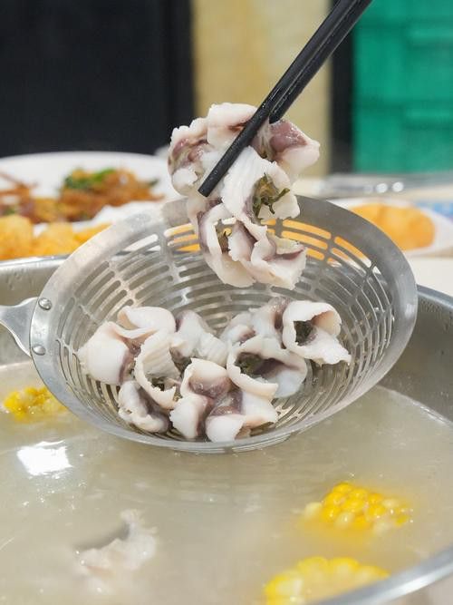 烏龍魚是什么魚圖片欣賞