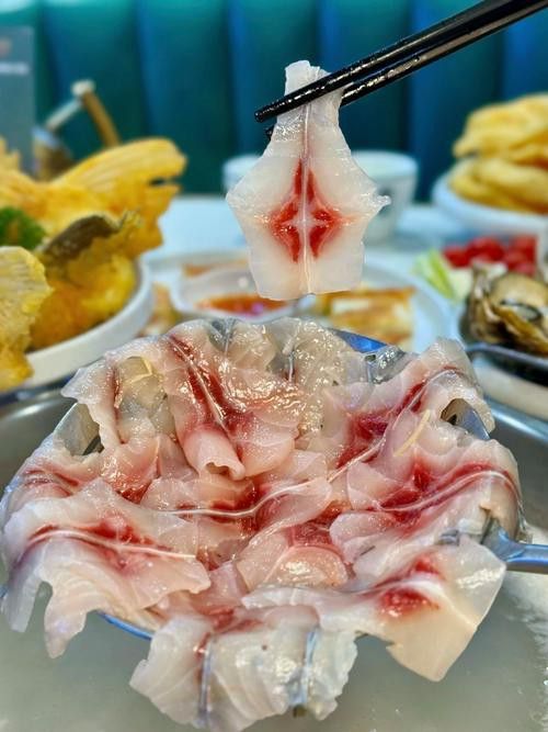 烏龍魚是什么魚圖片欣賞