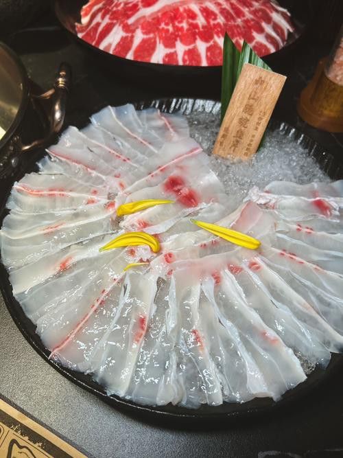 烏龍魚是什么魚圖片欣賞
