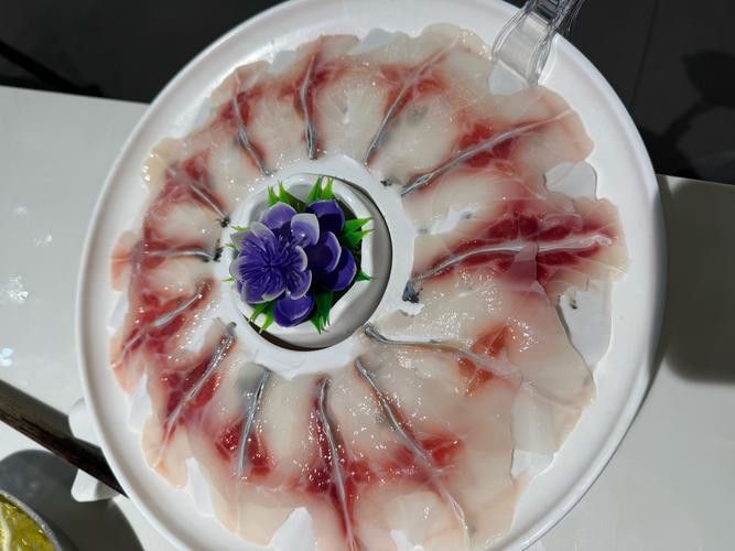 烏龍魚是什么魚圖片欣賞