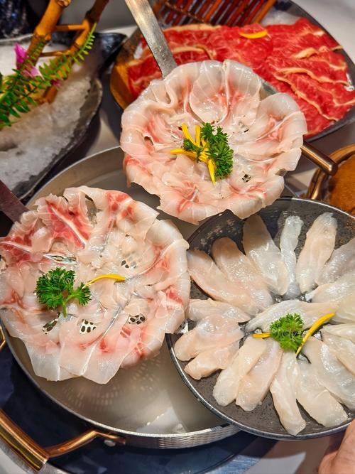 烏龍魚是什么魚圖片欣賞