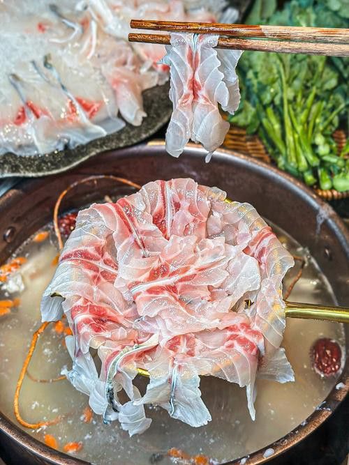 烏龍魚是什么魚圖片欣賞