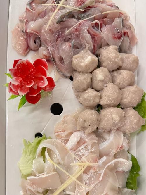 烏龍魚是什么魚圖片欣賞
