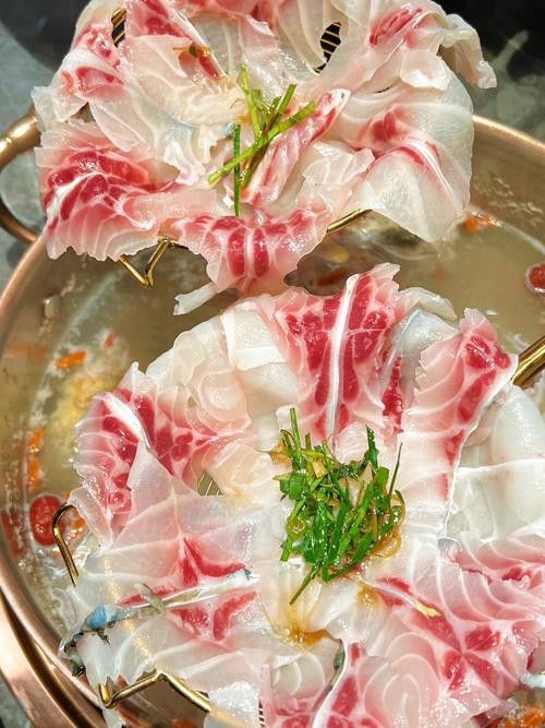 烏龍魚是什么魚圖片欣賞