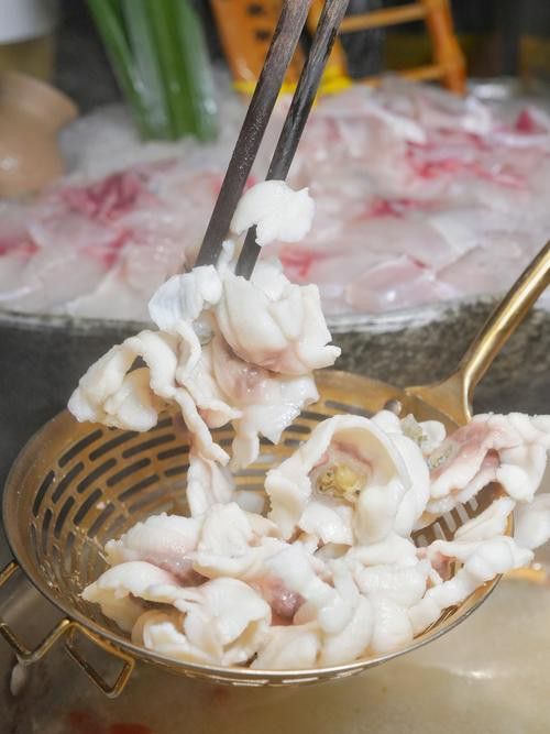 烏龍魚是什么魚圖片欣賞