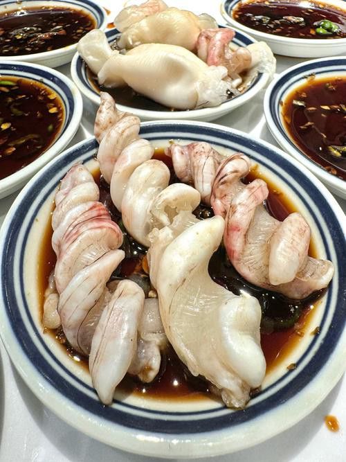 烏龍魚是什么魚圖片欣賞