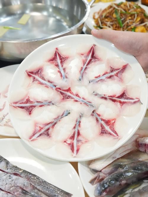烏龍魚是什么魚圖片欣賞