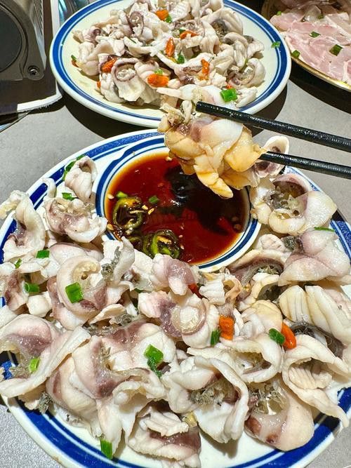 烏龍魚是什么魚圖片欣賞