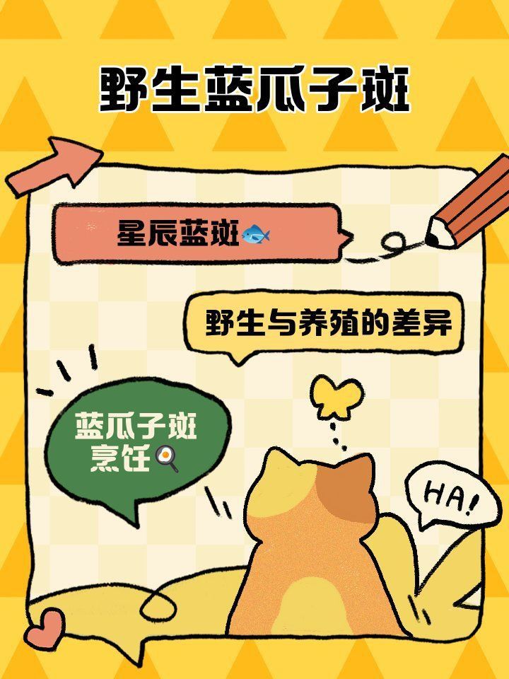 藍斑魚圖片