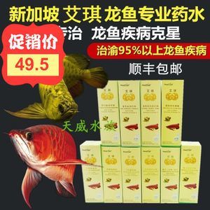 龍魚克星：飼養龍魚時，有一些注意事項可以幫助提高龍魚生存率