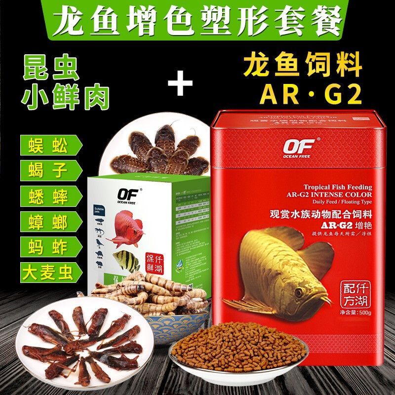 金龍魚吃螞蚱好嗎怎么喂養(yǎng)：金龍魚可以喂食螞蚱嗎怎么喂養(yǎng)金龍魚吃螞蚱好嗎 金龍魚吃螞蚱好嗎怎么喂養(yǎng)：金龍魚可以喂食螞蚱嗎怎么喂養(yǎng)金龍魚吃螞蚱好嗎 龍魚百科 第3張