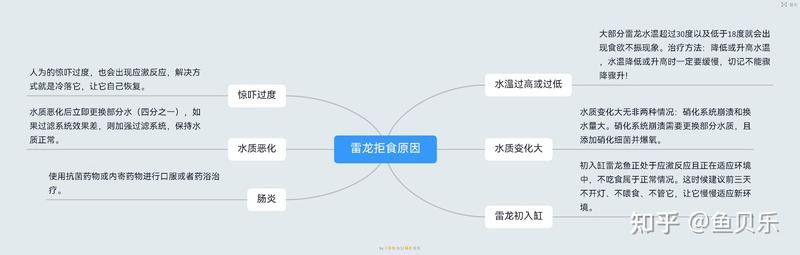 給我搜一下金龍魚(yú)的簡(jiǎn)筆畫(huà)怎么畫(huà)：簡(jiǎn)筆畫(huà)金龍魚(yú)的基本步驟和技巧