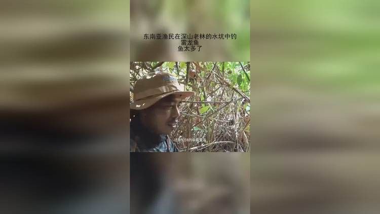 海南野生過山龍魚多嗎視頻