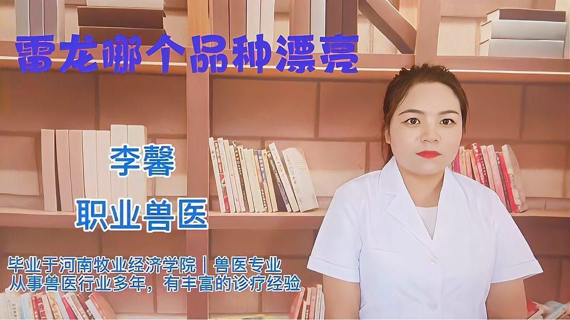 雷龍魚圖片及價格