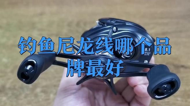 尼龍魚線哪個(gè)牌子質(zhì)量好 尼龍魚線哪個(gè)牌子質(zhì)量好 龍魚百科 第2張