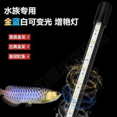 馬印水族魚缸增艷金龍最新視頻