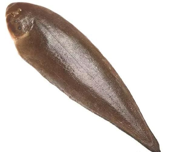 龍利魚和龍魚的區(qū)別圖片