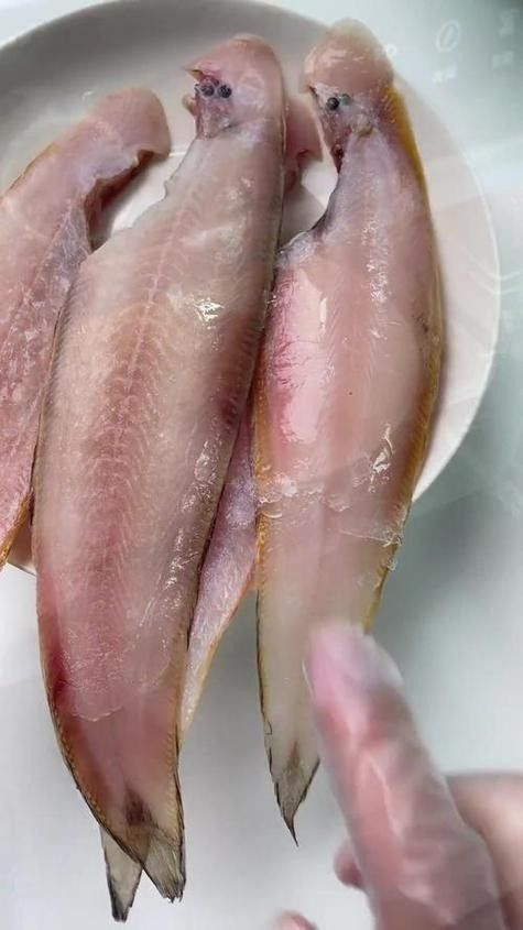 龍利魚和龍魚的區(qū)別圖片