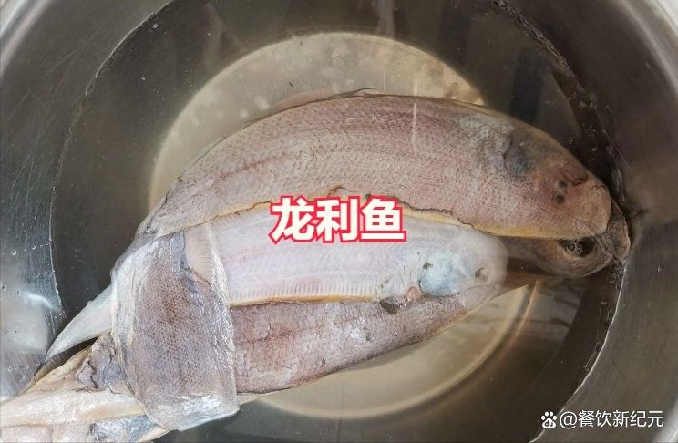 龍利魚和龍魚的區(qū)別圖片