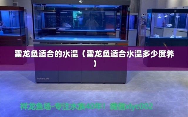 彩虹雷龍魚溫度多少合適，彩虹雷龍魚水質管理技巧彩虹雷龍魚水質管理技巧