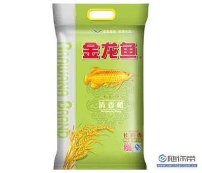 金龍魚(yú)好不好賣呢怎么看，金龍魚(yú)市場(chǎng)份額對(duì)比分析 金龍魚(yú)好不好賣呢怎么看，金龍魚(yú)市場(chǎng)份額對(duì)比分析 龍魚(yú)百科 第5張